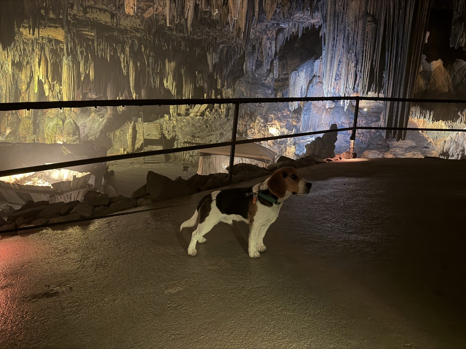 Majestic Caverns · Alabama